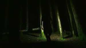stock-footage-person-walking-into-deep-dark-forest-at-night-with-lantern-creates-a-scary-setting