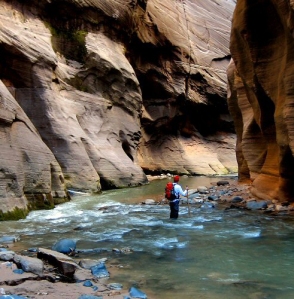 The Narrows, Zion National Park.